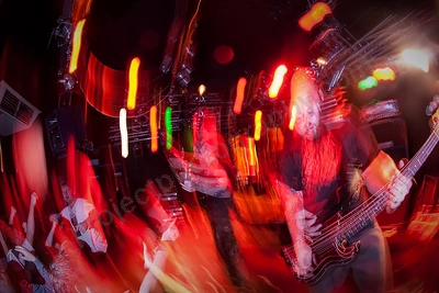 Mindsnare