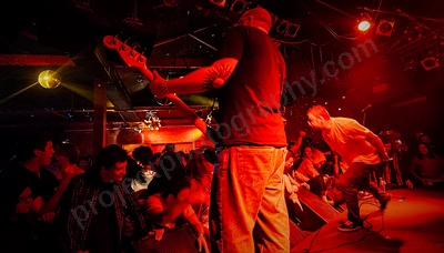 mindsnare_crowd_amp_wyliepic_8_08_17.png