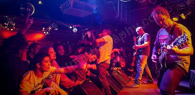 mindsnare_crowd_amp_wyliepic_8_08_24.png
