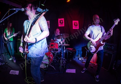 monkey_rock_terry_dodd_albany_wyliepic_1_18_05.png