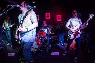 monkey_rock_terry_dodd_albany_wyliepic_1_18_06.png