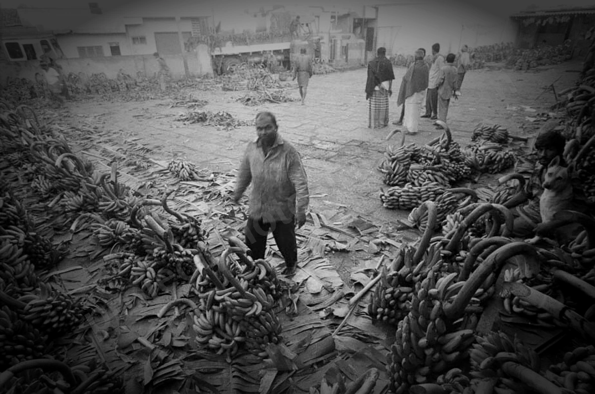mysore_149_wyliepic_01.jpg
