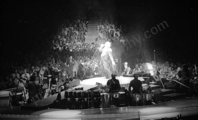 neil_diamond_crowd_burswood_1469_wyliepic_24_2_96_02.jpg
