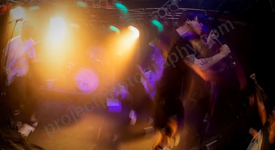 no_brainer_amp_wyliepic_1_2020_12.png