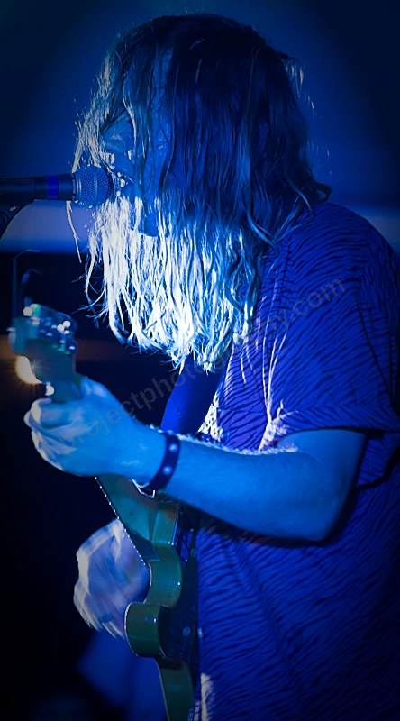 peter_bibby_in_the_pines_wyliepic_4_16_02.png
