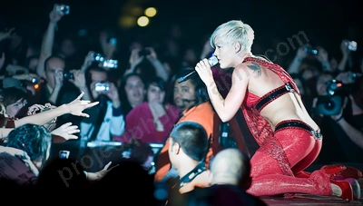 pink_crowd_burswood_wyliepic_5_09_01.png