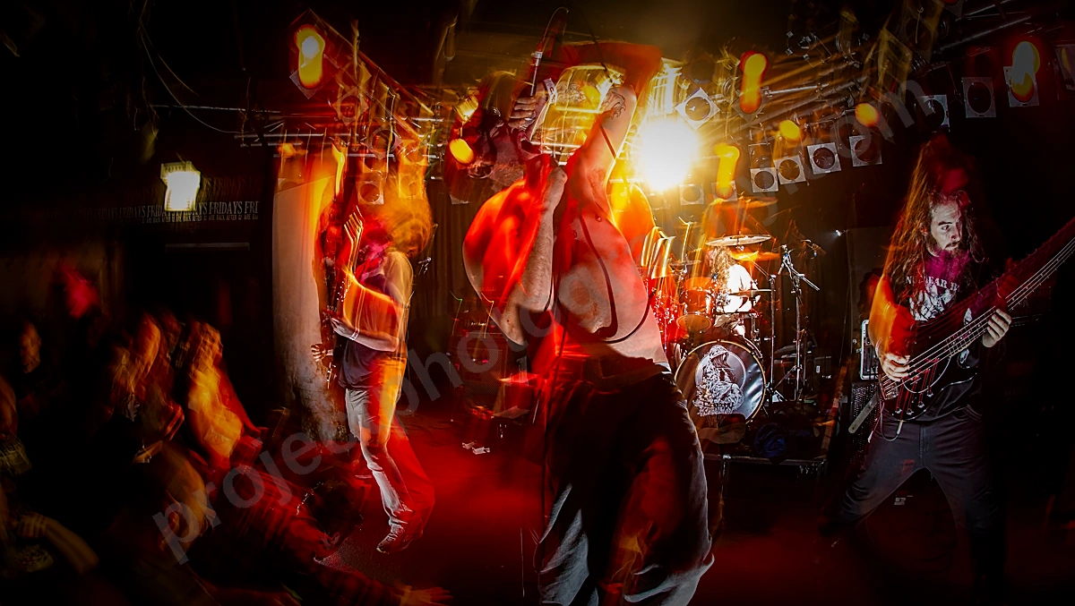 psycroptic_amp_wf_wyliepic_8_12_00.png