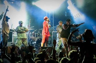 public_enemy_crowd_southbound_wyliepic_1_11_00.png