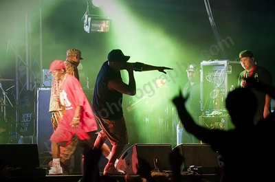 public_enemy_crowd_southbound_wyliepic_1_11_06.png