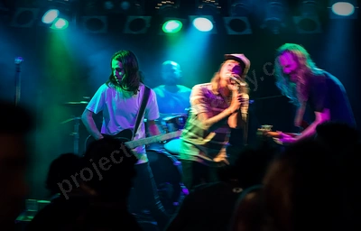 ray_finkle_crowd_amp_wyliepic_7_17_02.png