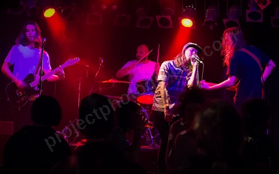 ray_finkle_crowd_amp_wyliepic_7_17_08.png