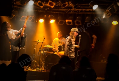 ray_finkle_crowd_amp_wyliepic_7_17_11.png