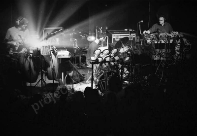 rhizome_crowd_metro_freo_2095_wyliepic_5_02_00.jpg