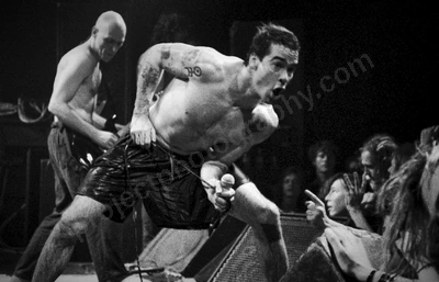 The Rollins Band