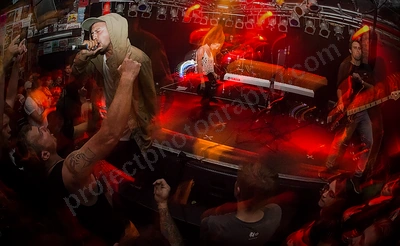 saviour_amp_crowd_wyliepic_12_17_052.png