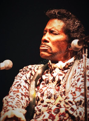 screamin_j_hawkins_333_wyliepic_02.jpg