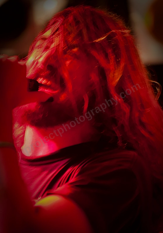 shitbird_amp_wyliepic_1_4_11_101.png