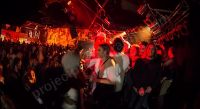 skeggs_crowd_amp_wyliepic_8_16_02.png