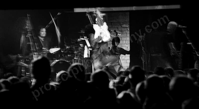 sleepy_jackson_crowd_2436_wyliepic_05.jpg