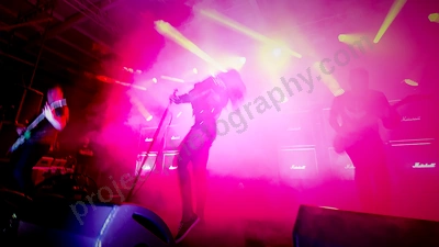 Sleigh Bells
