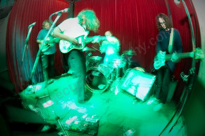 Spunloves Aardvark