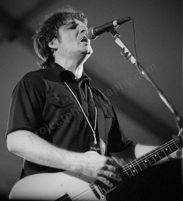 The Stems