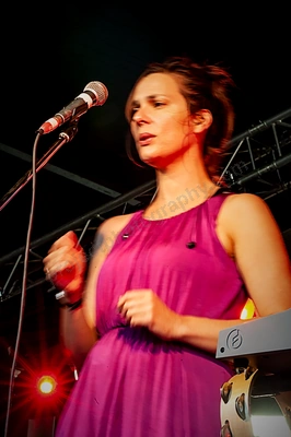 stereolab_st_jeromes_wyliepic_2_09_05.png