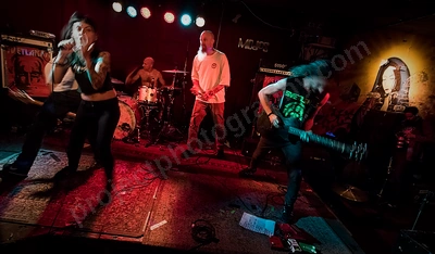 svetlanas_mojos_wyliepic_6_7_19_071.png
