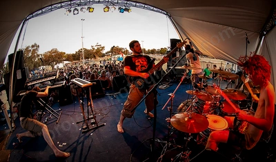 tangled_thoughts_of_leaving_crowd_rollercoaster_wyliepic_1_2006_05.png