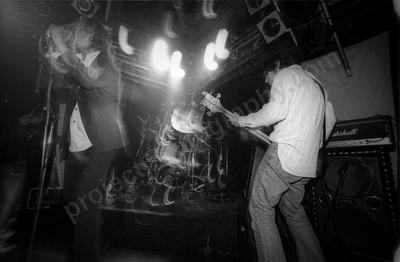 three_orange_whips_crowd_amp_2240_wyliepic_5_05_02.jpg
