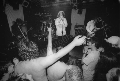 three_orange_whips_crowd_amp_2240_wyliepic_5_05_18.jpg