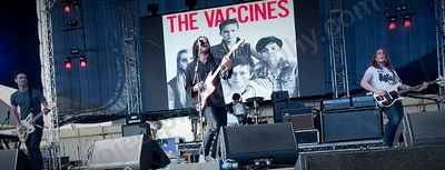 The Vaccines