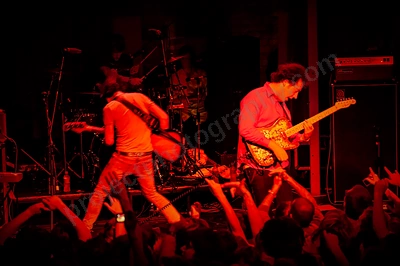 wombats_crowd_capitol_wyliepic_8_08_01.png