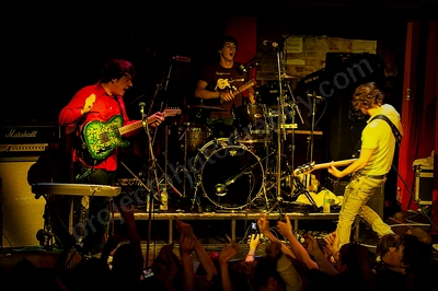 wombats_crowd_capitol_wyliepic_8_08_10.png