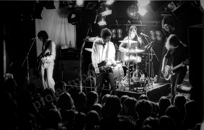you_am_i_crowd_amp_1980_wyliepic_6_5_0102.jpg