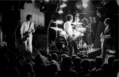 you_am_i_crowd_amp_1980_wyliepic_6_5_0103.jpg