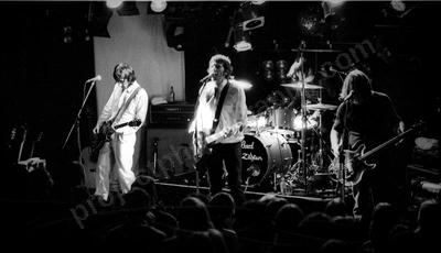 you_am_i_crowd_amp_1980_wyliepic_6_5_0106.jpg