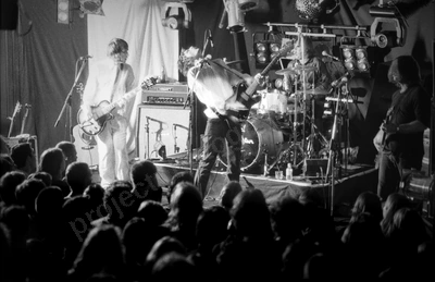 you_am_i_crowd_amp_1981_wyliepic_6_5_0102.jpg