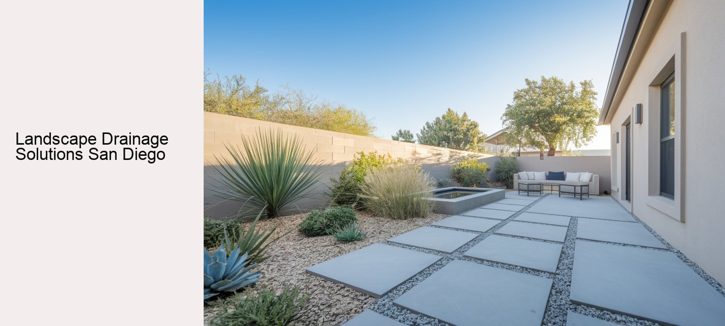 Landscape Drainage Solutions San Diego