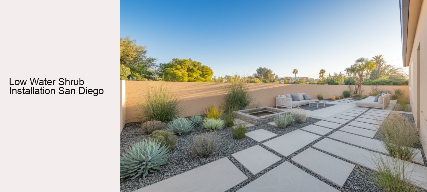 Low Water Shrub Installation San Diego