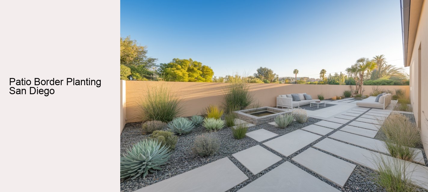 Patio Border Planting San Diego