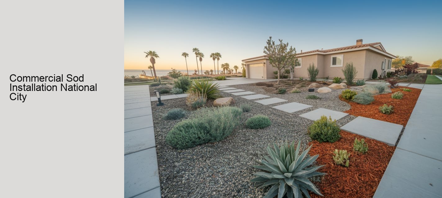 Commercial Sod Installation National City