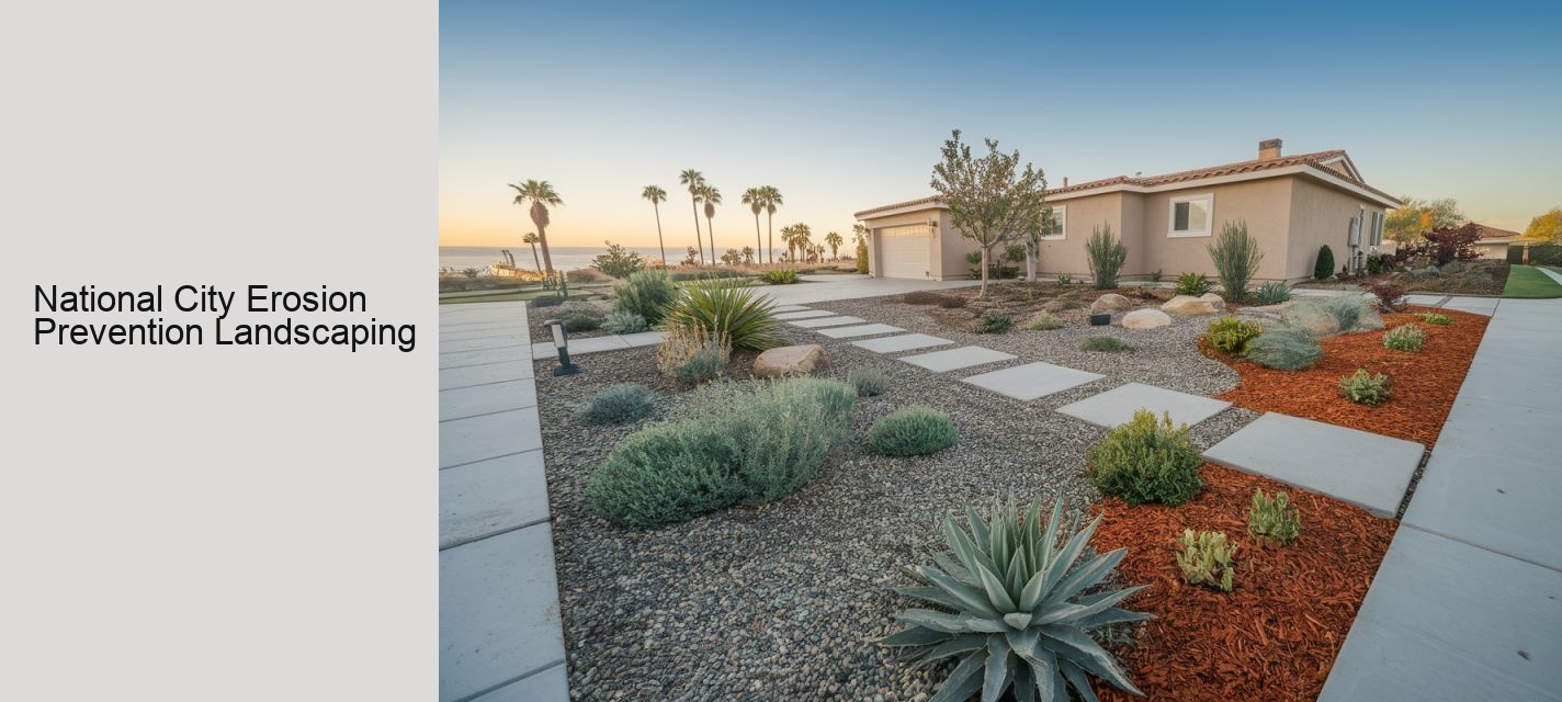 National City Erosion Prevention Landscaping