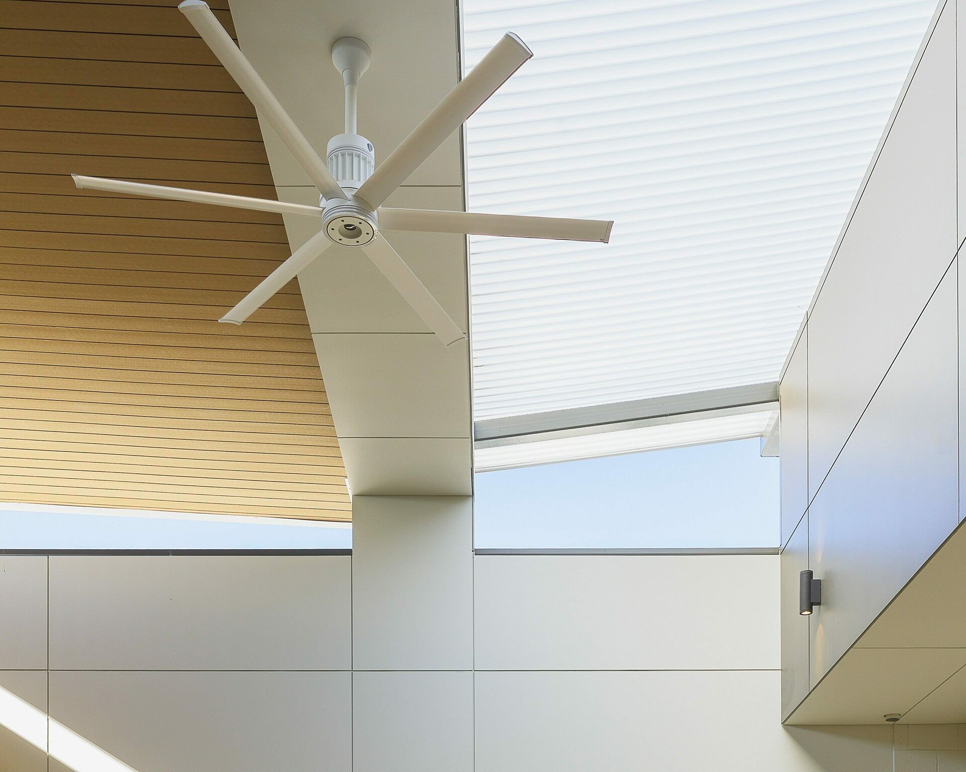 Salvado Stage 4 03 Deprimo Photography