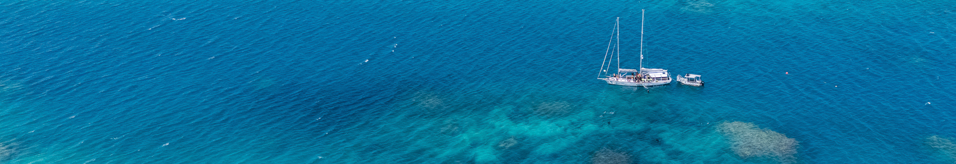 On Sale Day Tours: Now Discounted - Cairns Tours Image