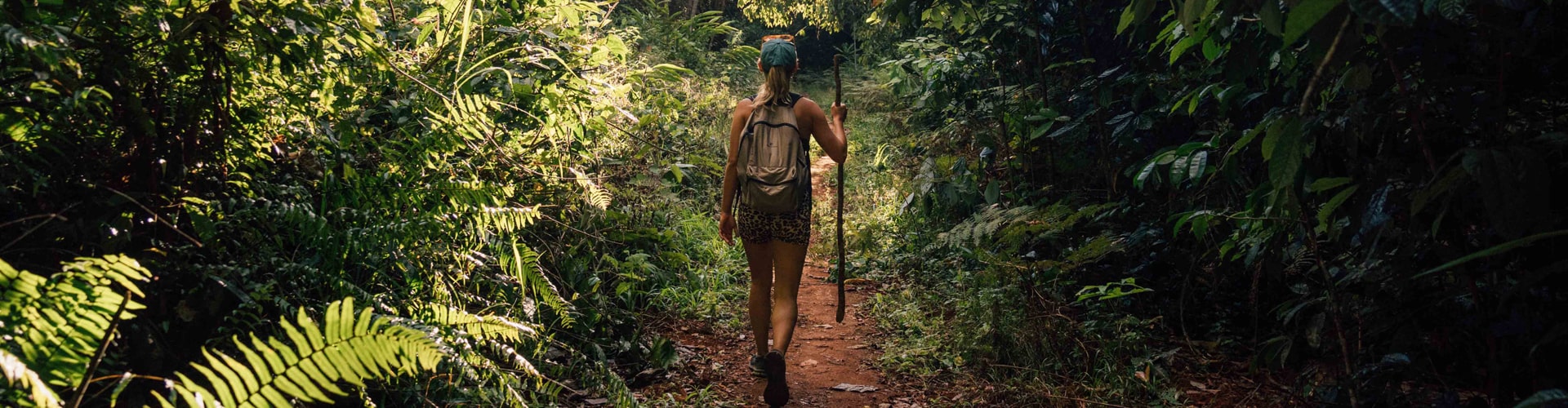 On Sale Overnight Tours: Hot Deals - Cairns Tours Image