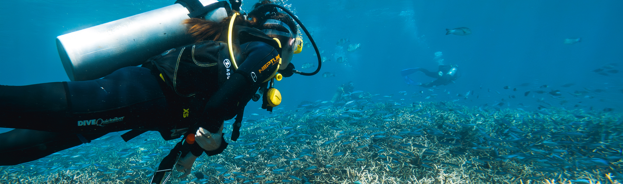 Scuba Diving Charters: Private Charters With Scuba Diving Available - Outback Tours Image