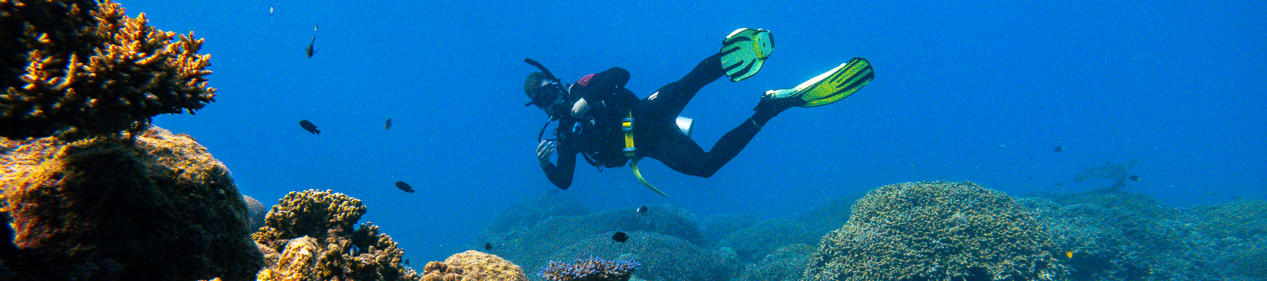Snorkel & Dive: Explore These Incredible Underwater Tours - Outback Tours Image