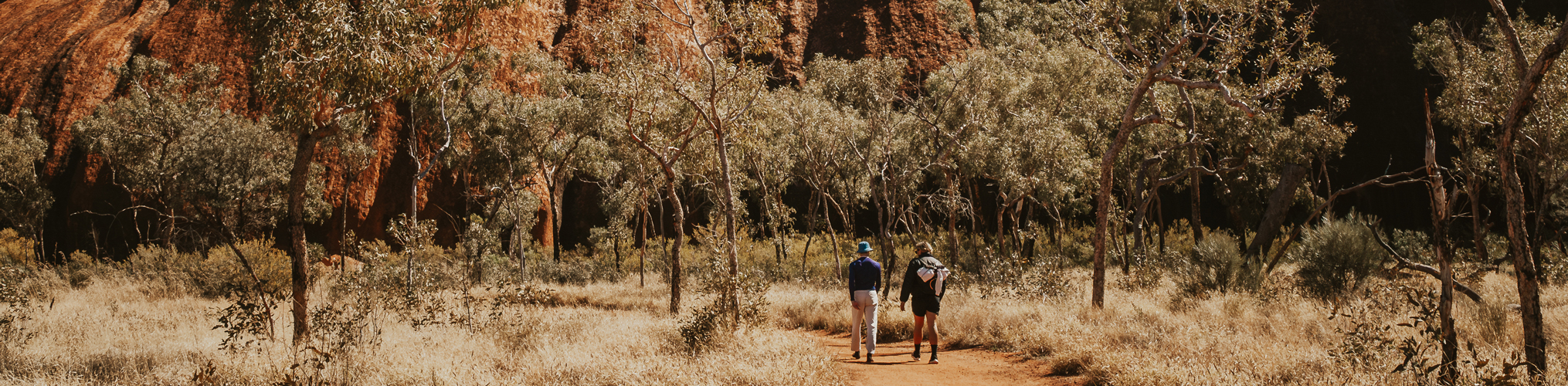 All Uluru Overnight Tours: Uluru, Kata Tjuta & Kings Canyon from Yulara or Alice Springs - Outback Tours Image