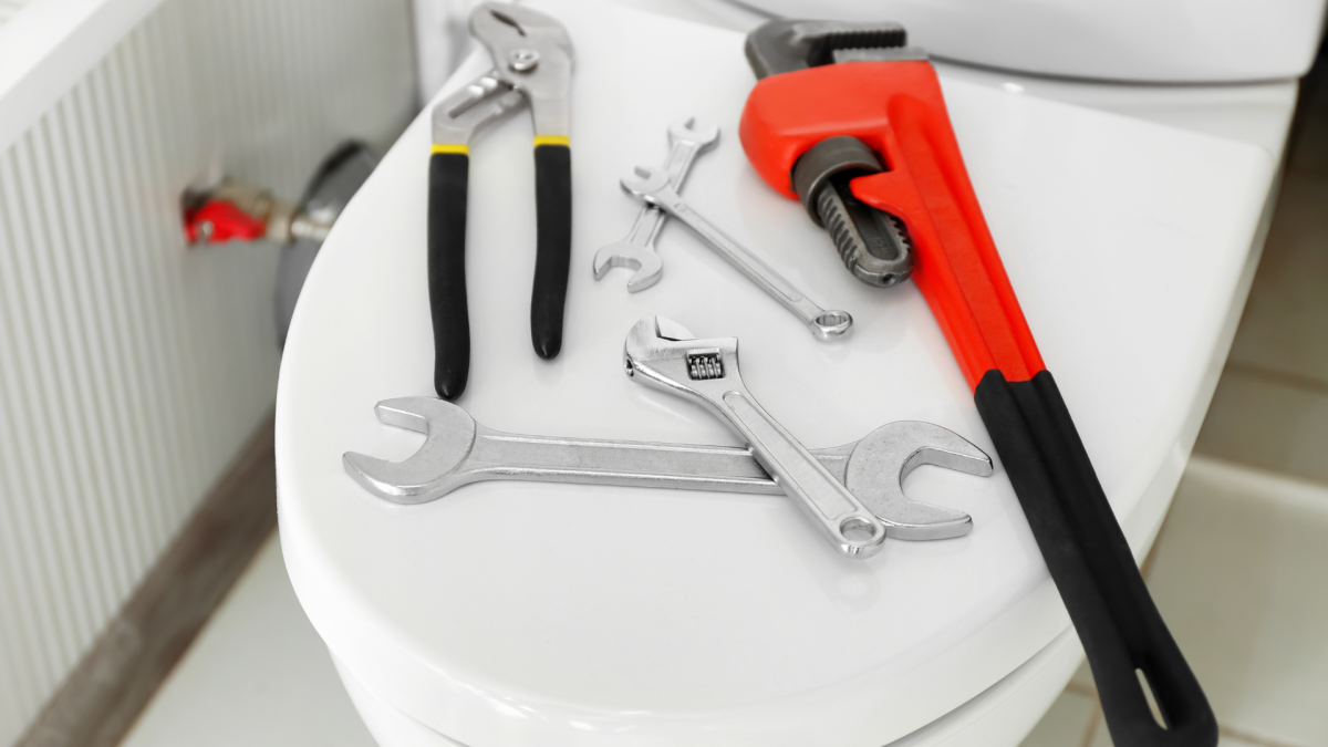 How to replace a toilet seat (Simple) Service Today